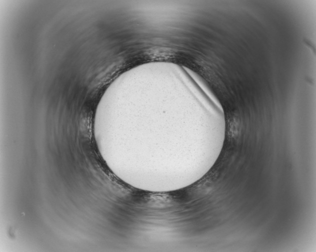 X0000101650666200807311414
