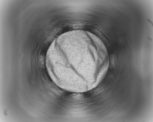 X0000101650667200807311414