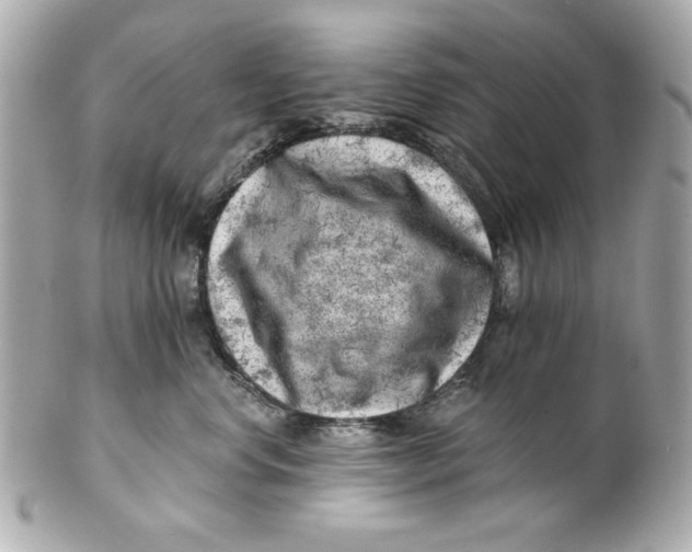 X0000101650668200807311414