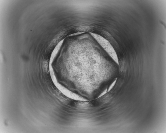 X0000101650669200807311414