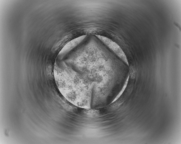 X0000101650670200807311414
