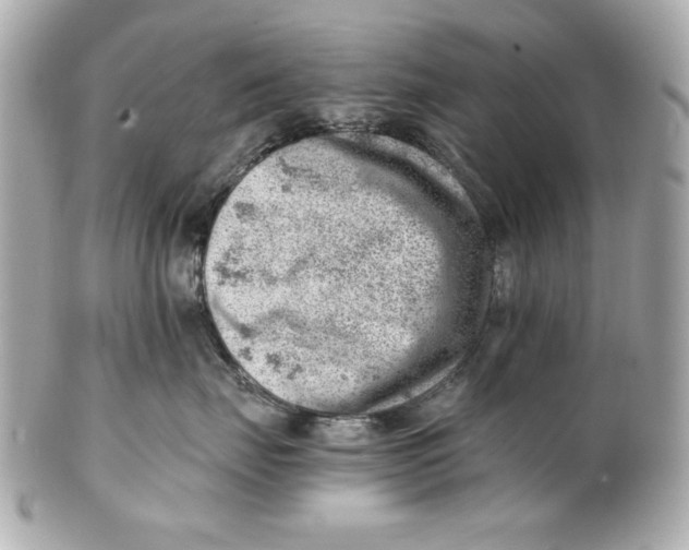 X0000101650671200807311414