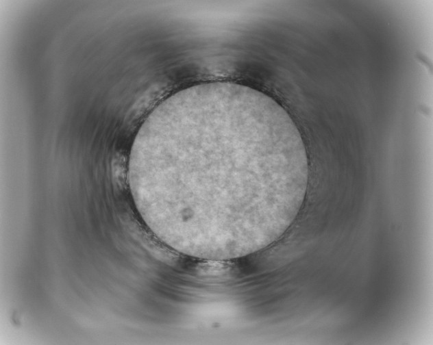 X0000101650672200807311414