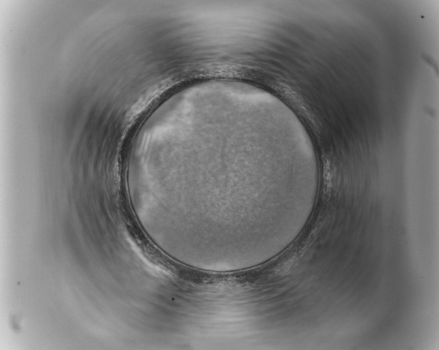 X0000101650674200807311414