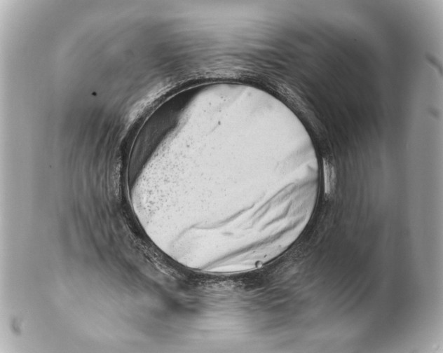 X0000101650675200807311414