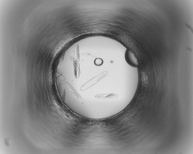 X0000101650676200807311414