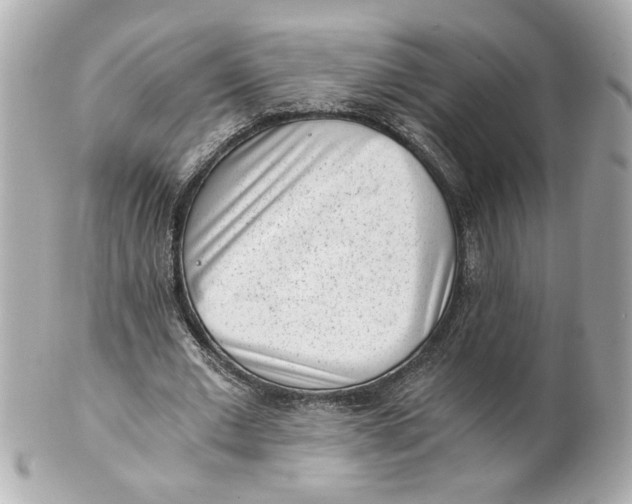 X0000101650677200807311414
