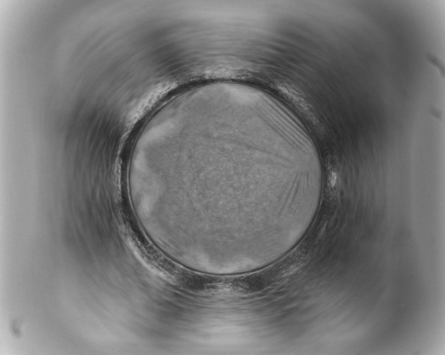 X0000101650678200807311414