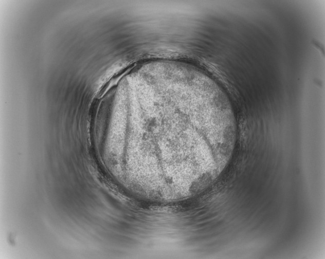 X0000101650679200807311414