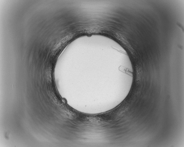 X0000101650681200807311414