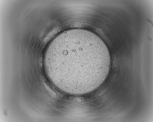 X0000101650683200807311413