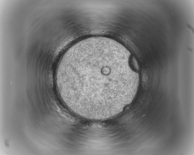 X0000101650684200807311413