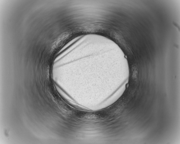 X0000101650685200807311413