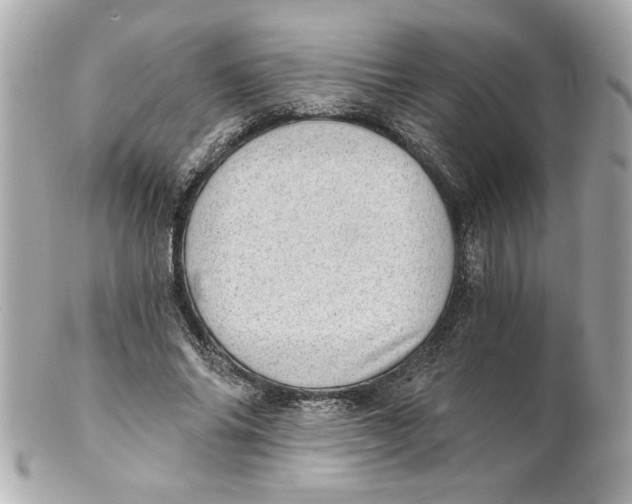X0000101650686200807311413