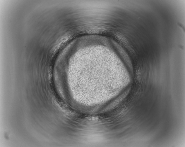 X0000101650687200807311413
