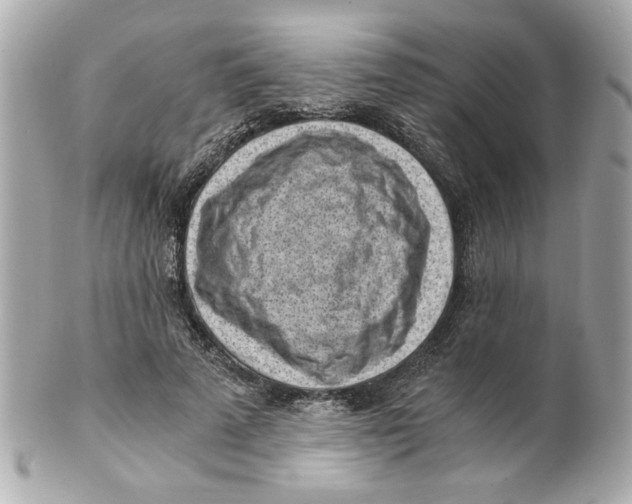 X0000101650689200807311413