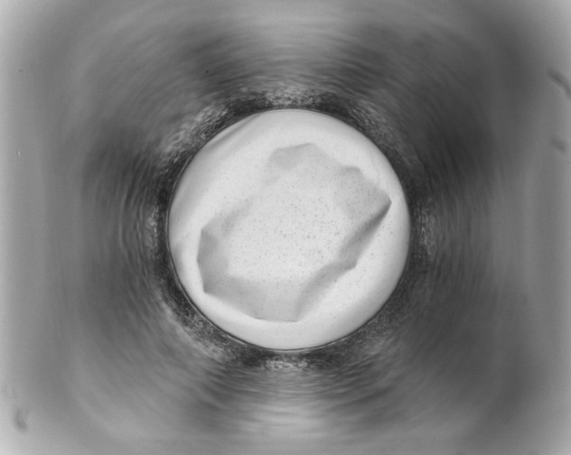 X0000101650690200807311413