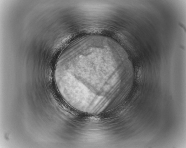 X0000101650692200807311413