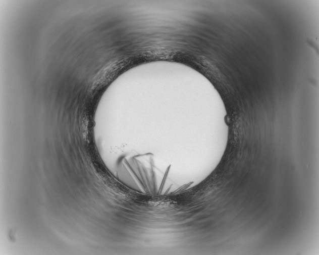 X0000101650693200807311413