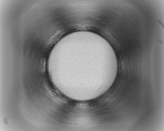 X0000101650694200807311413