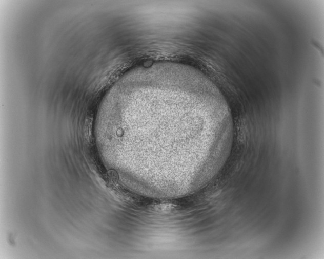 X0000101650695200807311413