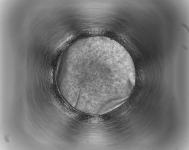 X0000101650696200807311413