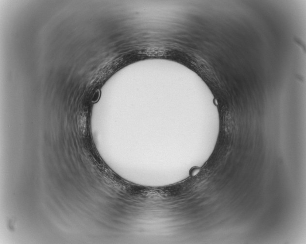 X0000101650697200807311413