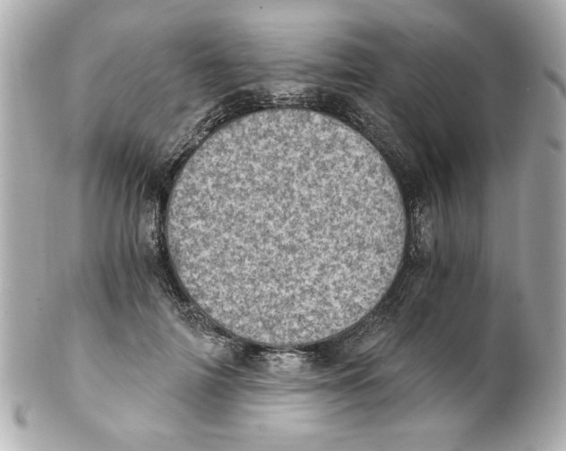 X0000101650698200807311413
