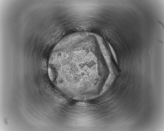 X0000101650699200807311413