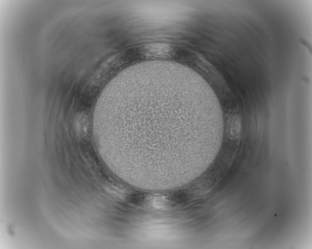 X0000101650701200807311413