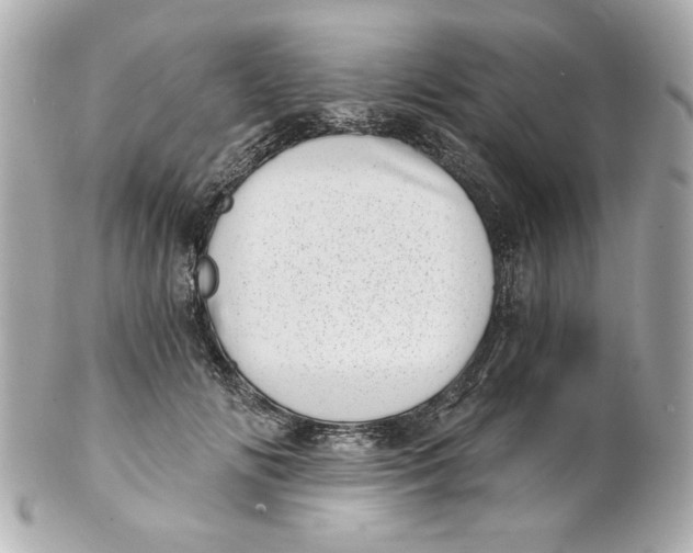 X0000101650702200807311413