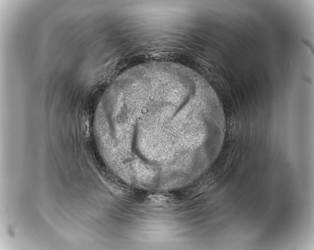 X0000101650703200807311413