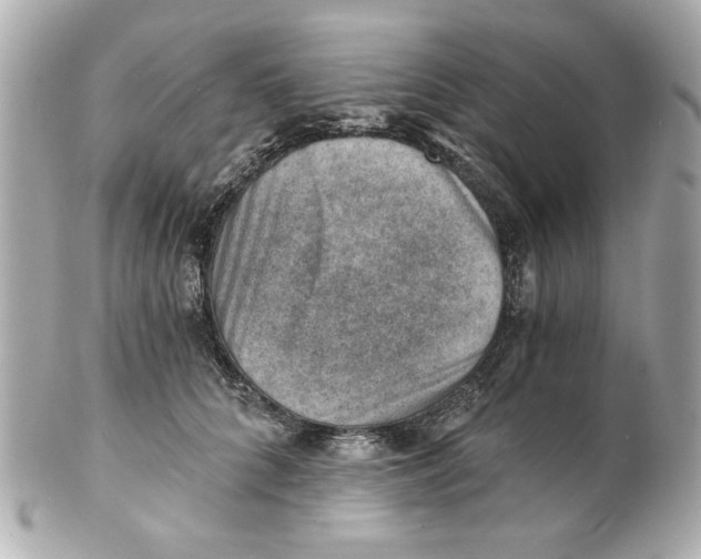 X0000101650704200807311413