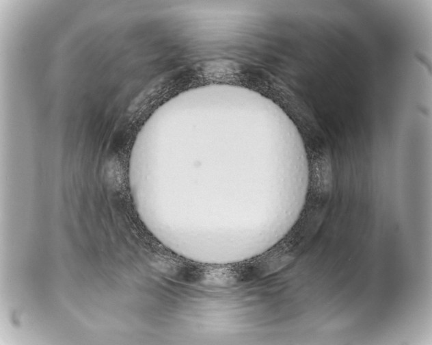 X0000101650705200807311413