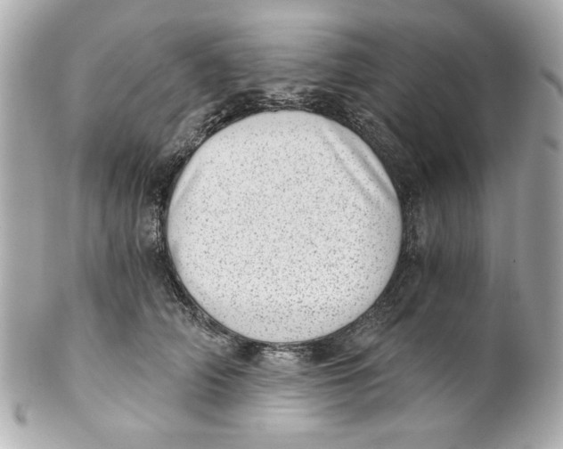 X0000101650706200807311413