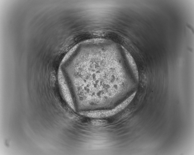 X0000101650707200807311413