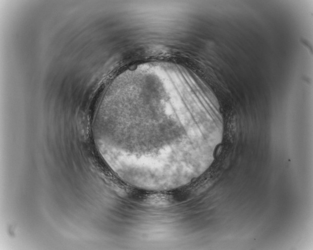 X0000101650708200807311413