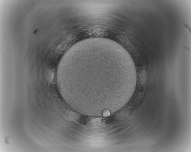 X0000101650709200807311413