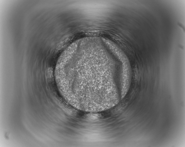 X0000101650711200807311413