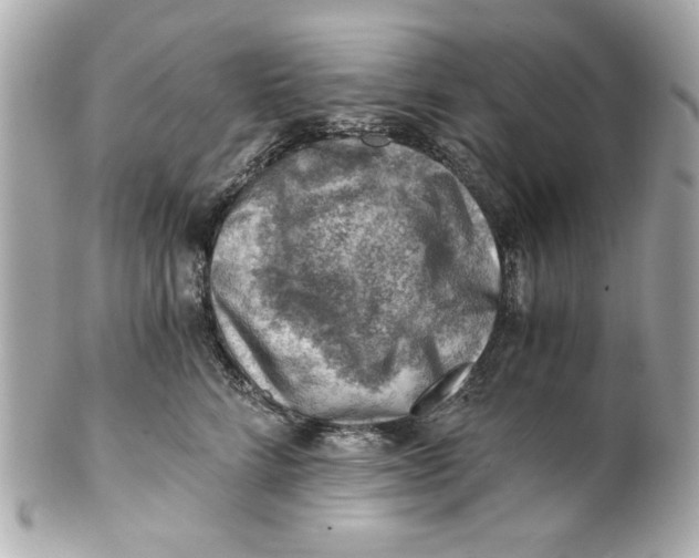 X0000101650712200807311413