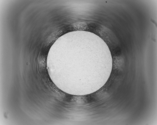 X0000101650713200807311413