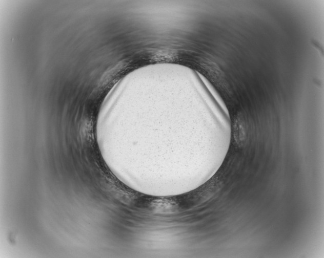 X0000101650714200807311413