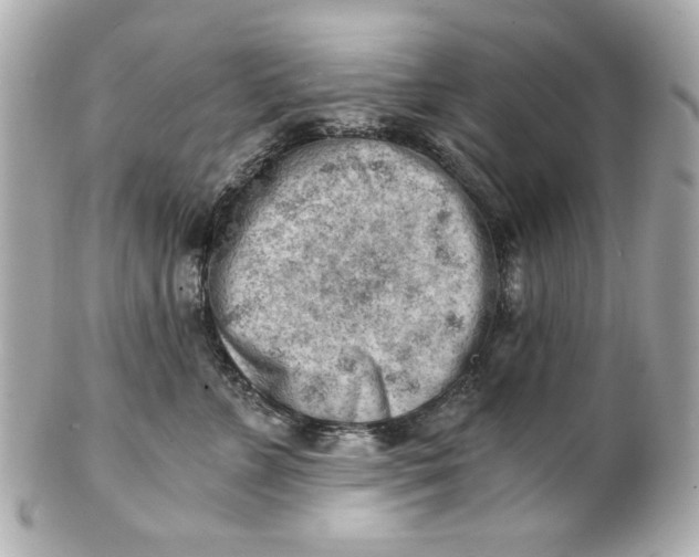 X0000101650715200807311413