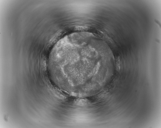 X0000101650716200807311413