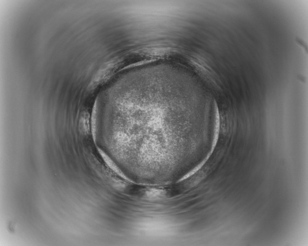 X0000101650718200807311413