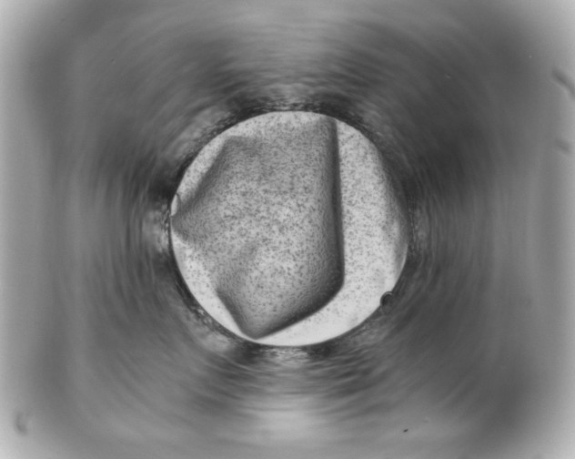 X0000101650719200807311413