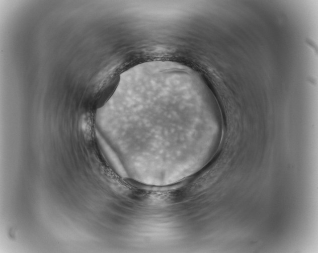 X0000101650720200807311413