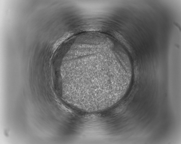 X0000101650721200807311412