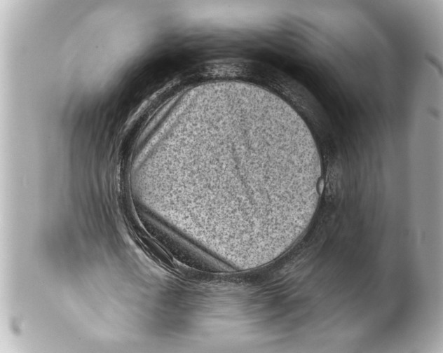 X0000101650722200807311412