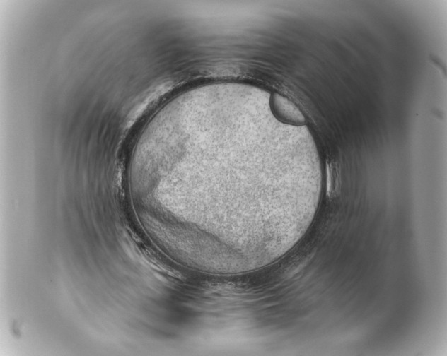 X0000101650723200807311412
